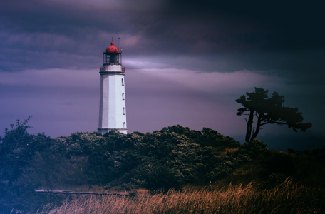 Bild-Nr: 11195910 Mystische Vollmondnacht Erstellt von: birdy