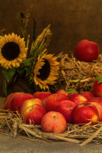 Bild-Nr: 11233914 Stillleben im Herbst II Erstellt von: HeschFoto