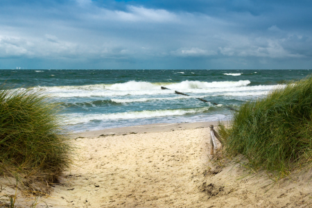 Bild-Nr: 11485875 Ostsee Strandweg Erstellt von: Reiner Würz
