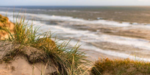 Bild-Nr: 11574474 Skandinavian summer Erstellt von: Richard-Young