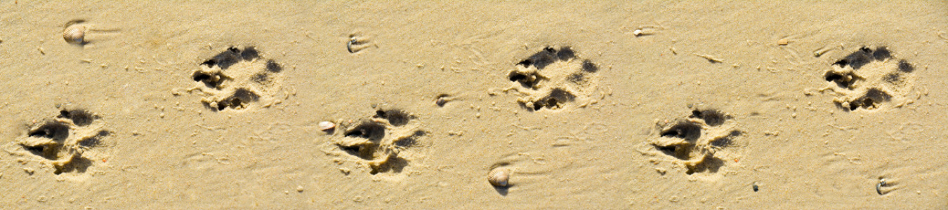 Bild-Nr: 11575008 Tapete Spur Erstellt von: Huber-creativ-photo