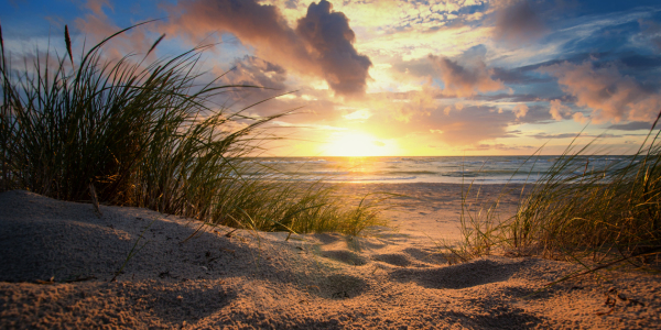 Bild-Nr: 11932746 Ostsee Weststrand Erstellt von: Steffen Gierok