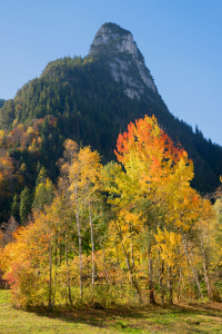 Bild-Nr: 12005365 Der Kofel im Herbst Erstellt von: SusaZoom