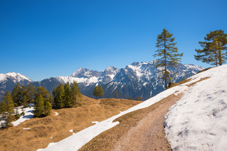Bild-Nr: 12202329 Frühjahr am Kranzberg Mittenwald Erstellt von: SusaZoom
