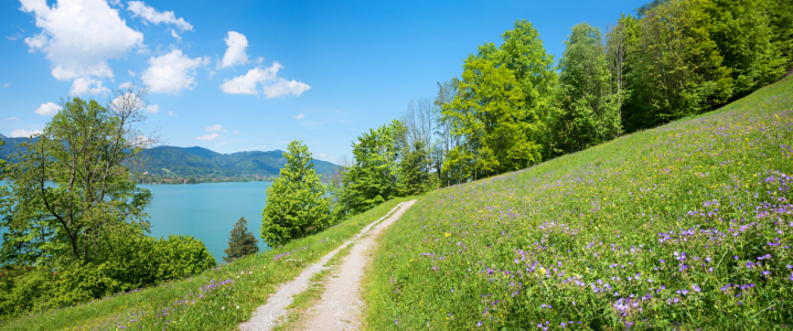 Bild-Nr: 12217865 Leeberghügel am Tegernsee Erstellt von: SusaZoom