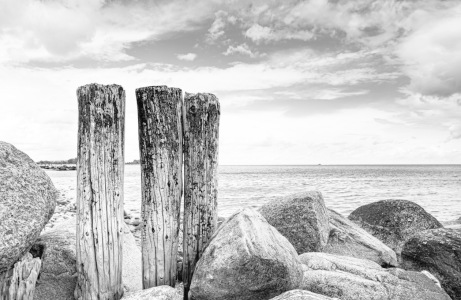 Bild-Nr: 12256396 Holz und Stein Elemente am Strand Erstellt von: Ursula Reins