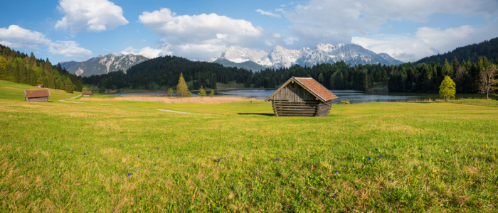 Bild-Nr: 12275532 Enzianwiese am Geroldsee Erstellt von: SusaZoom