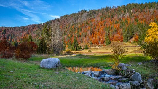 Bild-Nr: 12339313 Menzenschwander Albtal im Herbst Erstellt von: alexwolff68