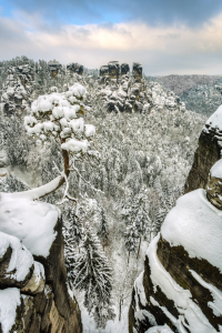 Bild-Nr: 12495472 Basteikiefer im Winter Erstellt von: Michael Valjak