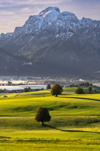 Bild-Nr: 12525608 Schlösserblick Allgäu Erstellt von: Achim Thomae