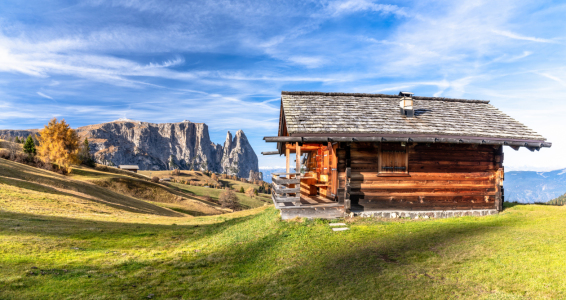 Bild-Nr: 12642934 Herbst auf der Seiser Alm in Südtirol Erstellt von: Achim Thomae