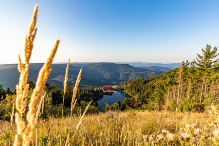 Bild-Nr: 12696668 Mummelsee mit dem Berghotel im Schwarzwald Erstellt von: dieterich