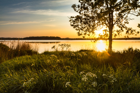 Bild-Nr: 12727651 Frühlingsabend am Binnenwasser Erstellt von: Ursula Reins