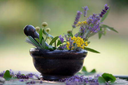 Bild-Nr: 12738896 Sommer Kräuter Mix aus dem Garten Erstellt von: Tanja Riedel