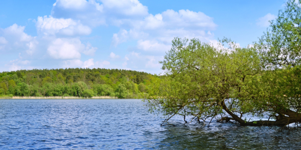 Bild-Nr: 12749066 Havel Erstellt von: Atteloi
