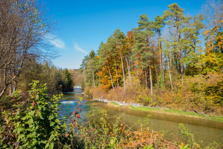 Bild-Nr: 12749721 Herbst an der Mangfall Erstellt von: SusaZoom