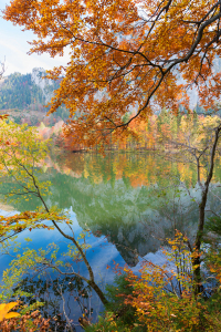 Bild-Nr: 12751213 Farbenfroh am Laudachsee Erstellt von: SusaZoom