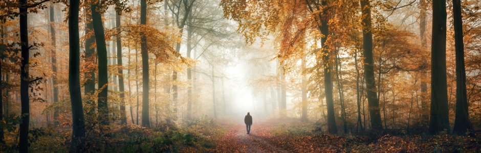 Bild-Nr: 12753653 Wandern in den Tiefen des herbstlichen Waldes Erstellt von: Smileus