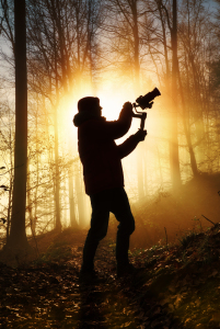 Bild-Nr: 12753831 Videofilmer ist kreativ in einem nebligen Wald Erstellt von: Smileus