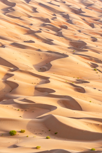 Bild-Nr: 12808610 Rub al Chali Wüste Erstellt von: eyetronic