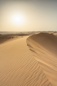 Bild-Nr: 12808788 Sandwüste im warmen Sonnenlicht Erstellt von: eyetronic