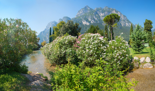 Bild-Nr: 12818482 Parco dell Ora in Riva Erstellt von: SusaZoom