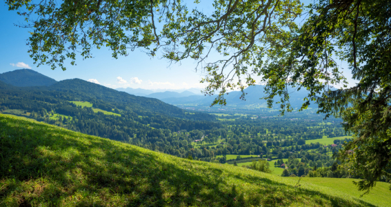 Bild-Nr: 12825422 Blick ins Isartal vom Sunntratensteig Erstellt von: SusaZoom