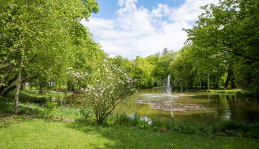 Bild-Nr: 12827575 Frühling im Kurpark Bad Aibling I Erstellt von: SusaZoom