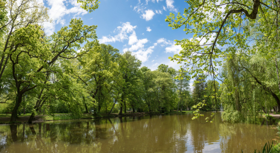 Bild-Nr: 12832607 Irlacher Weiher Bad Aibling Erstellt von: SusaZoom