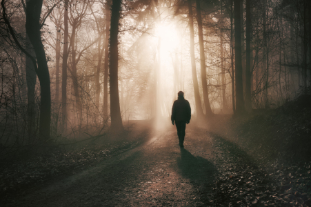 Bild-Nr: 12835013 Spaziergang im dramatischen Licht im nebligen Wald Erstellt von: Smileus