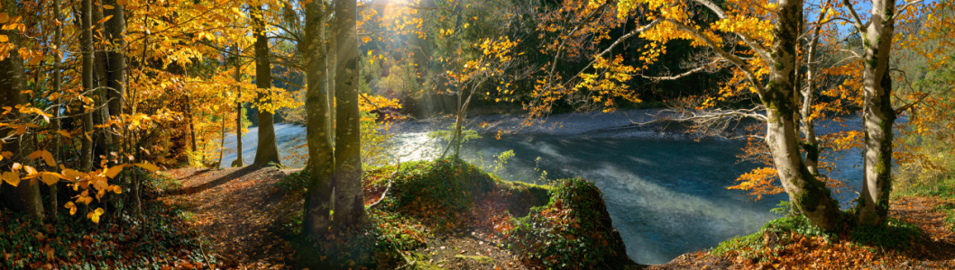 Bild-Nr: 12835017 Idyllisches Panorama am Flussufer im Herbst Erstellt von: Smileus