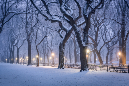 Bild-Nr: 12840685 Central Park im Winter Erstellt von: eyetronic