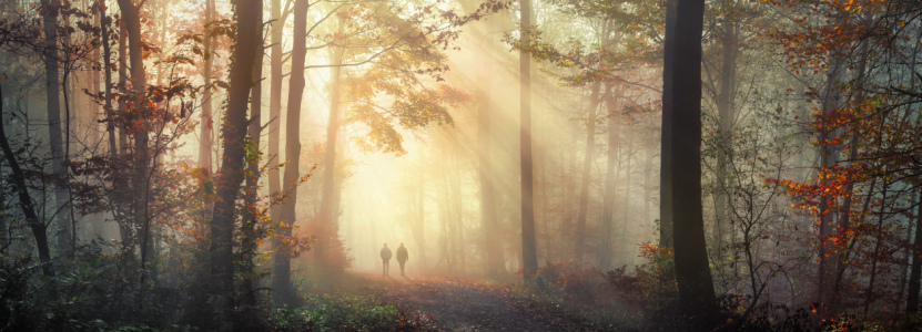 Bild-Nr: 12841148 Zwei Menschen spazieren im nebligen Herbstwald Erstellt von: Smileus