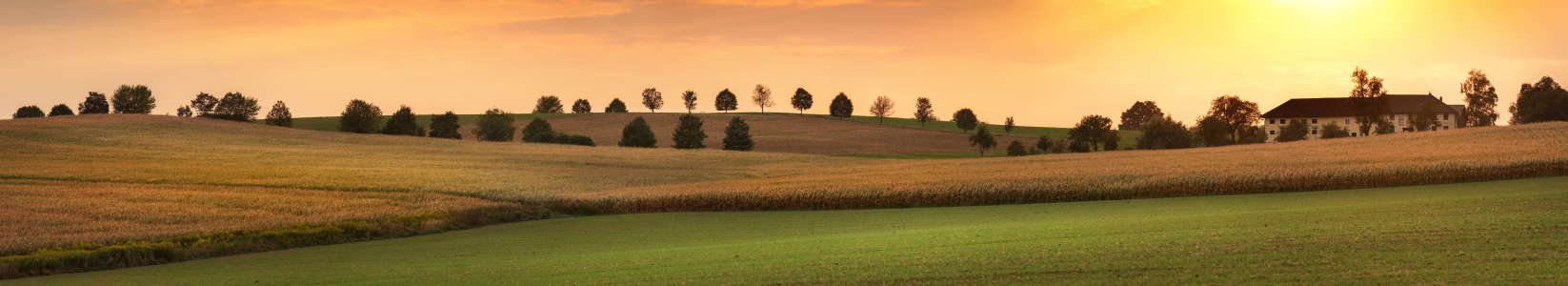 Bild-Nr: 12847544 Idyllischer Bauernhof auf einem Hügel Erstellt von: Smileus