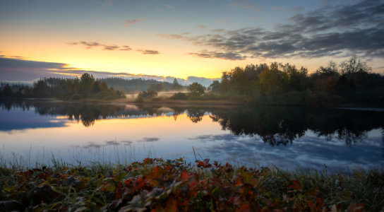 Bild-Nr: 12850455 Herbstlicher Pfauenteich Erstellt von: Steffen Henze