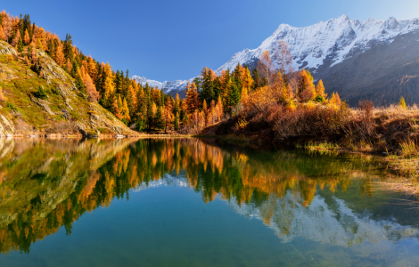 Bild-Nr: 12852228 Herbst im Lötschental - Wallis - Schweiz Erstellt von: Achim Thomae