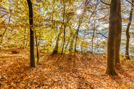 Bild-Nr: 12853434 Herbst am See  Erstellt von: Ursula Reins