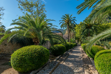 Bild-Nr: 12862233 weg durch den botanischen Garten auf Mallorca Erstellt von: volker heide