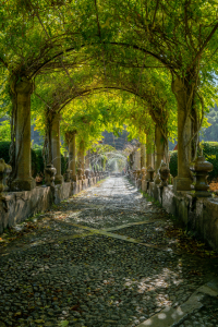 Bild-Nr: 12862239 Wasserspiele unter der Pergola auf Mallorca Erstellt von: volker heide