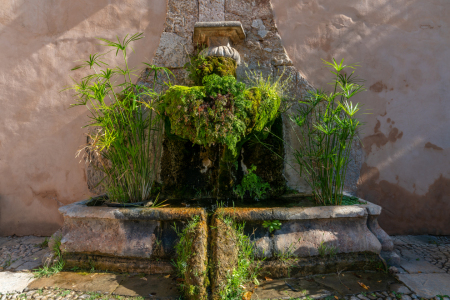 Bild-Nr: 12862250 Überwucherter Springbrunnen auf Mallorca Erstellt von: volker heide