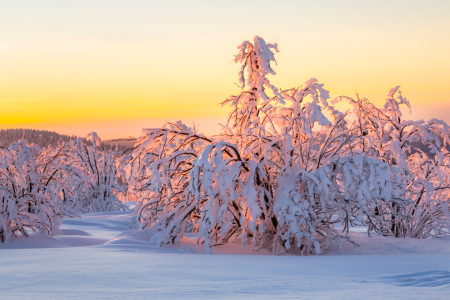 Bild-Nr: 12867834 Sonnenuntergang mit verschneiter Landschaft Erstellt von: Daniela Beyer