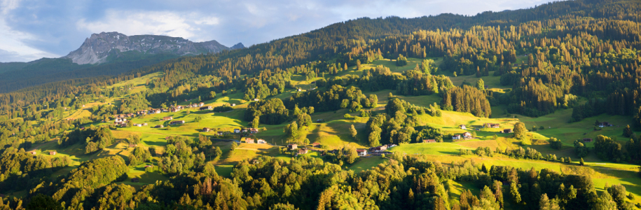 Bild-Nr: 12874893 Schweizer Berghang in der Morgensonne Erstellt von: SusaZoom