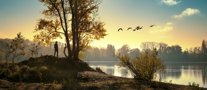 Bild-Nr: 12875748 Malerische Naturlandschaft mit fliegenden Vögeln Erstellt von: Smileus
