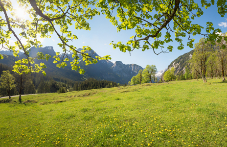 Bild-Nr: 12877838 Karwendelfrühling Erstellt von: SusaZoom