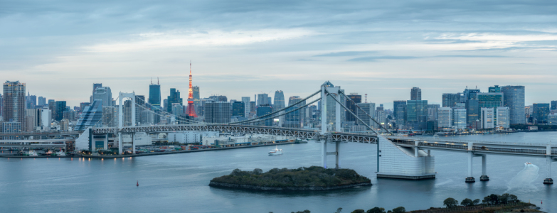 Bild-Nr: 12878954 Bucht von Tokyo mit Rainbow Bridge Erstellt von: eyetronic