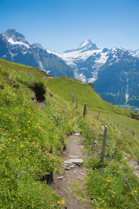 Bild-Nr: 12883745 Blick zum Schreckhorn Wanderweg Grindelwald Erstellt von: SusaZoom