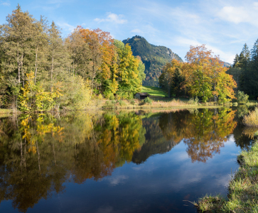 Bild-Nr: 12887760 Moorweiher Oberstdorf Herbstidylle III Erstellt von: SusaZoom