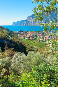 Bild-Nr: 12888042 Torbole am Gardasee Erstellt von: SusaZoom