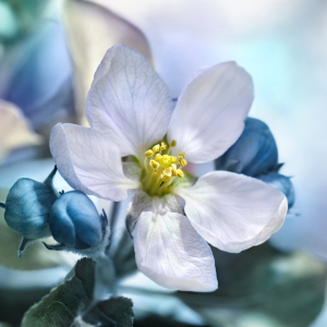 Bild-Nr: 12889113 Frühling Erstellt von: Atteloi