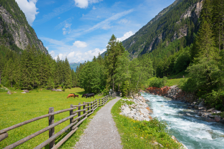 Bild-Nr: 12892492 Wanderweg im Stilluptal Erstellt von: SusaZoom